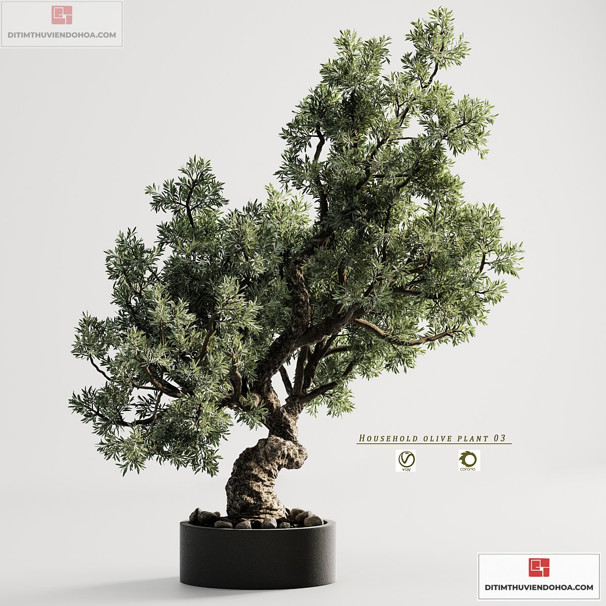 5566361.64d9cbd30abd1-12282