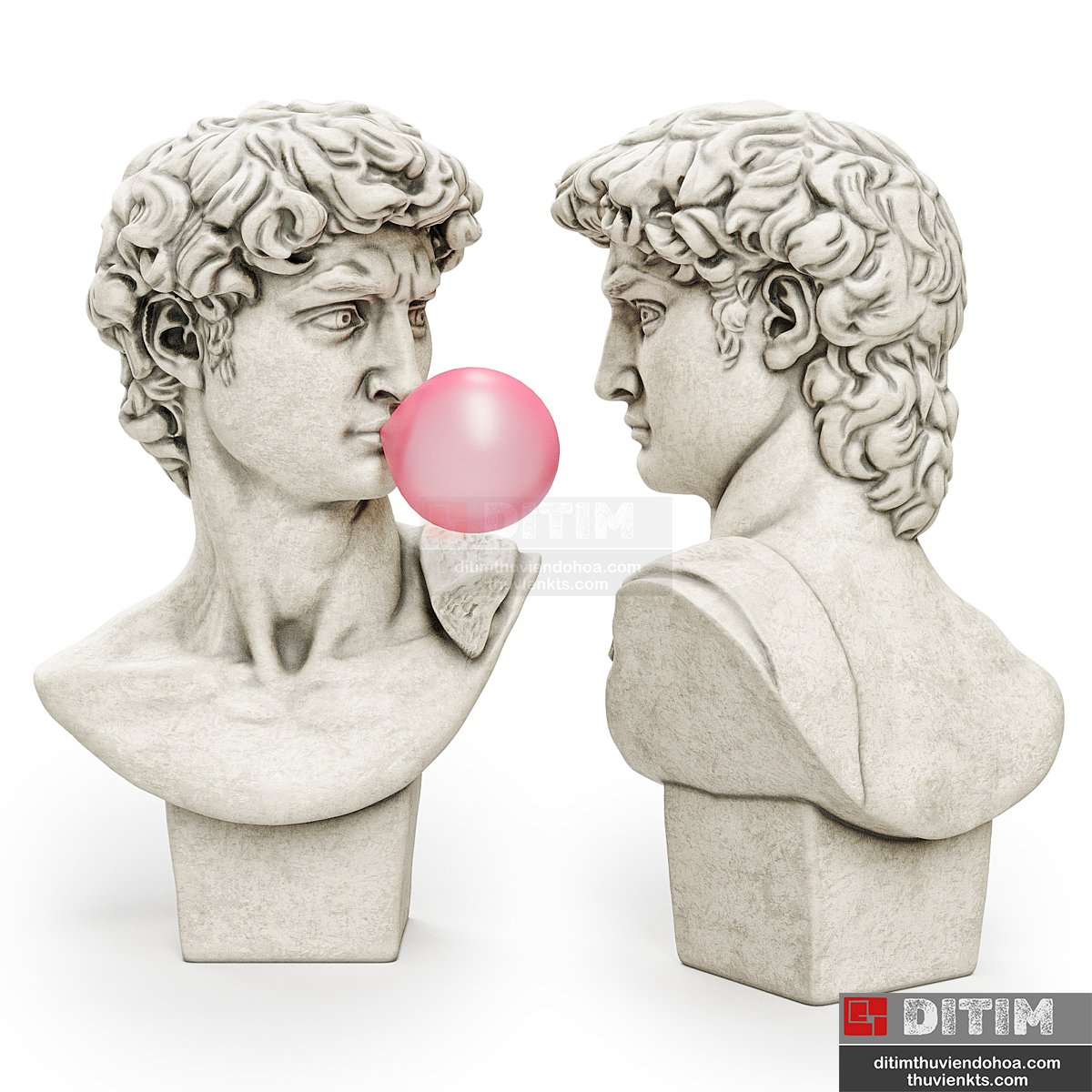 thuvienditim.com